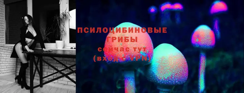 Галлюциногенные грибы Magic Shrooms  купить закладку  Касли 